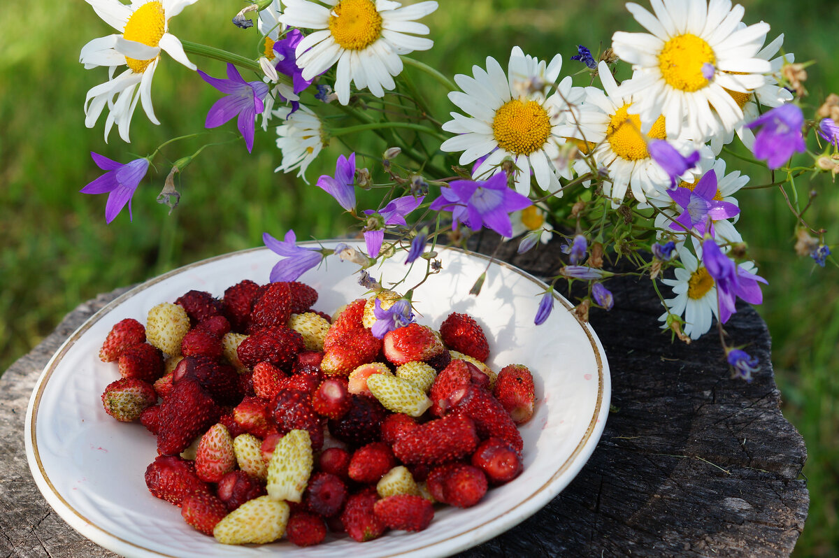 Июньский натюрморт - Сергей Ц