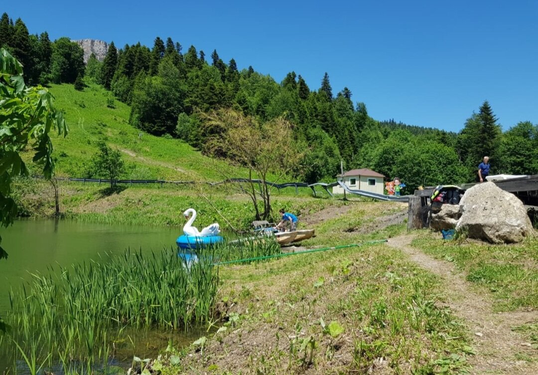 Партизанская поляна - Tata Wolf Партизанская поляна - Tata Wolf