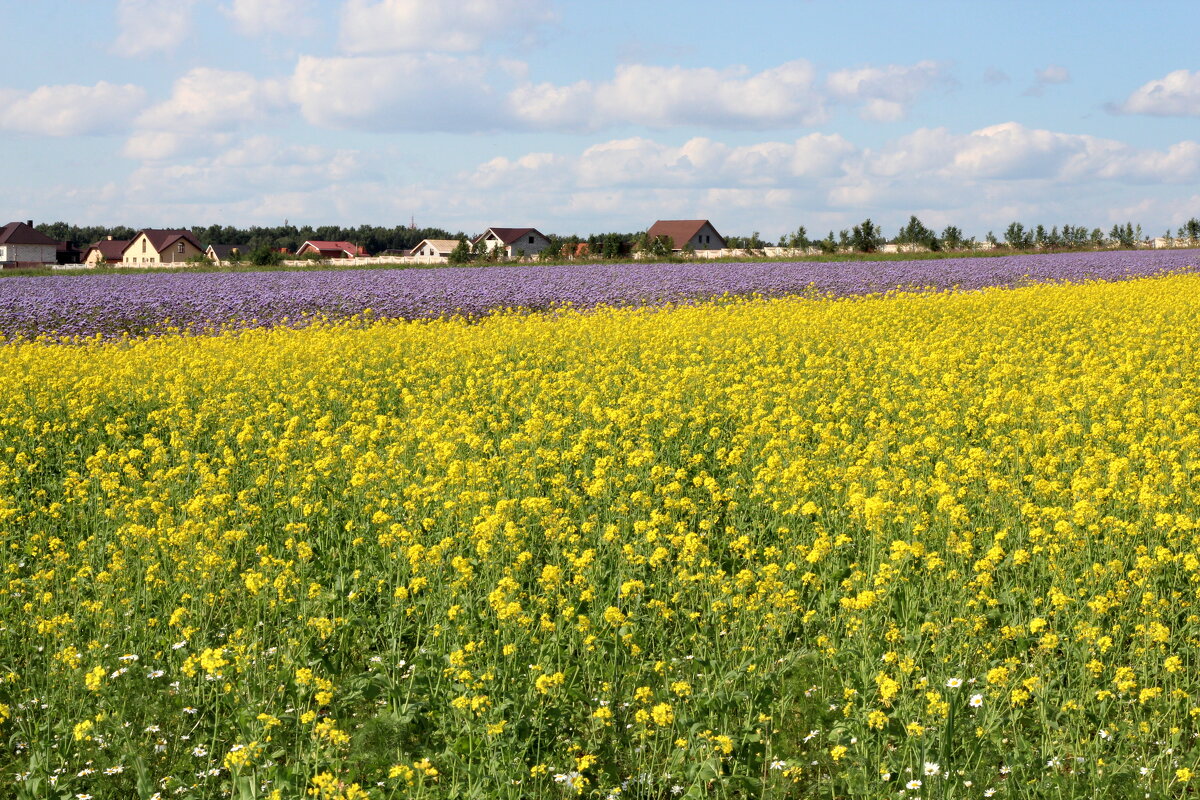 пейзаж - Игорь 