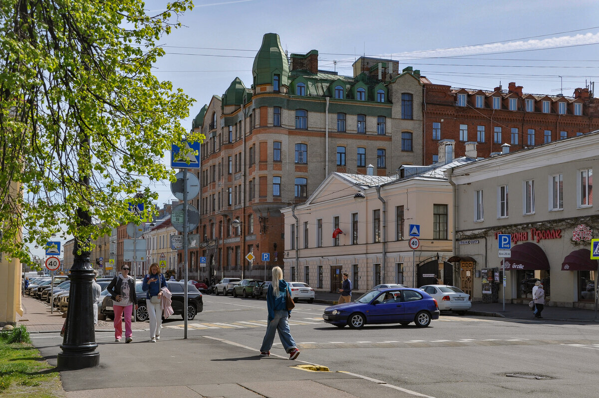 Васильевский остров (Аптека Пеля и Андреевское городское училище) - Татьяна Машошина