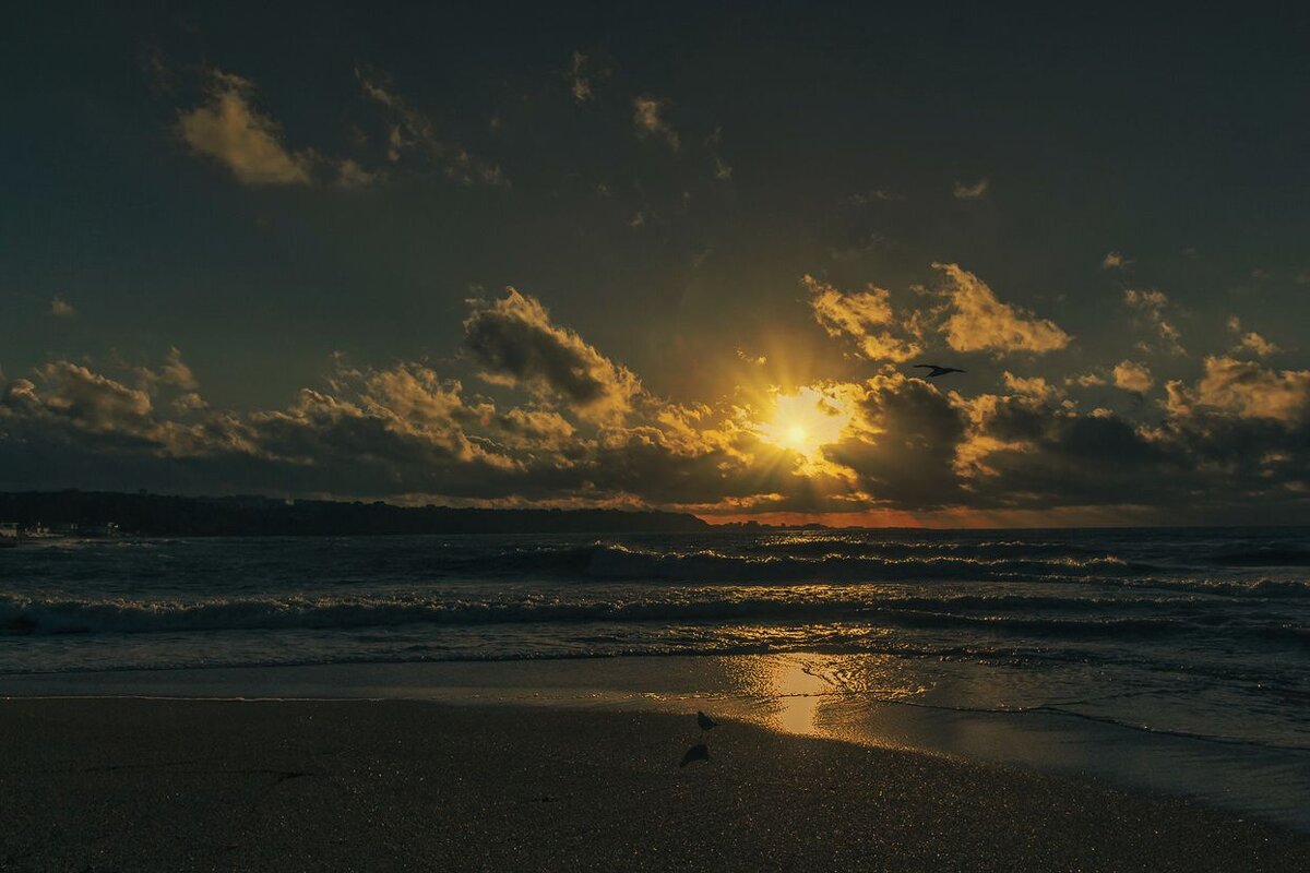 Прибой - Виктор 