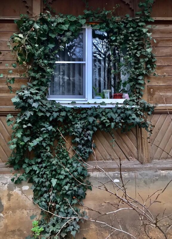 Окна-10 - Любовь 