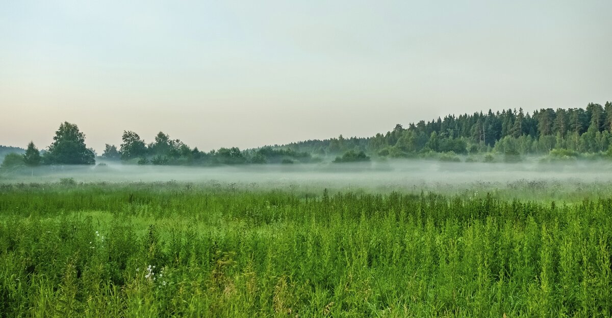 Панорама июньского утра - Валерий Иванович
