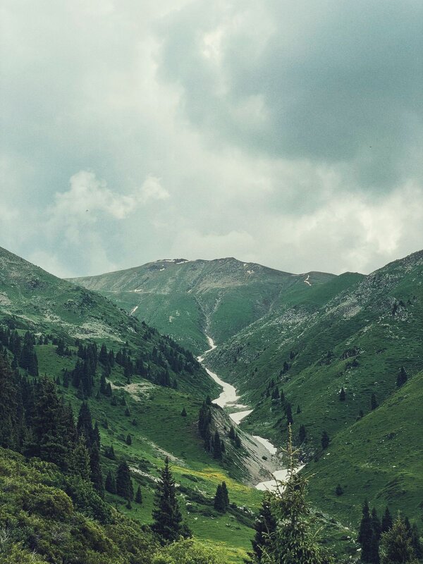 В горах Алатао - Георгиевич 