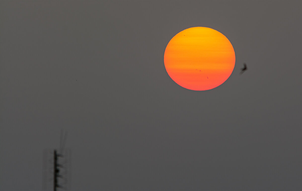 ***** - Виталий Емельянов