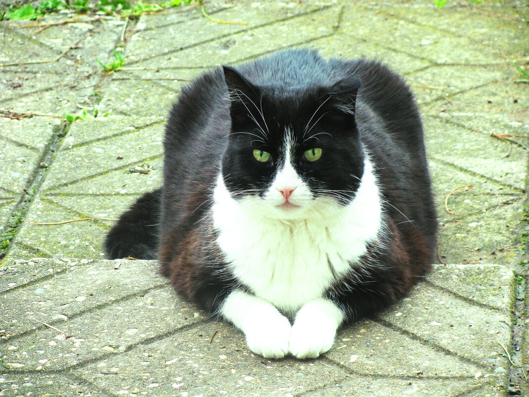 Ждёт меня - Людмила Смородинская