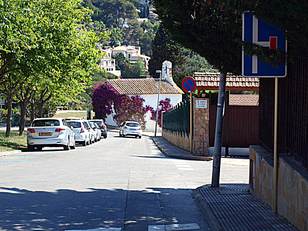 Барселона. - Владимир Драгунский Барселона. - Владимир Драгунский