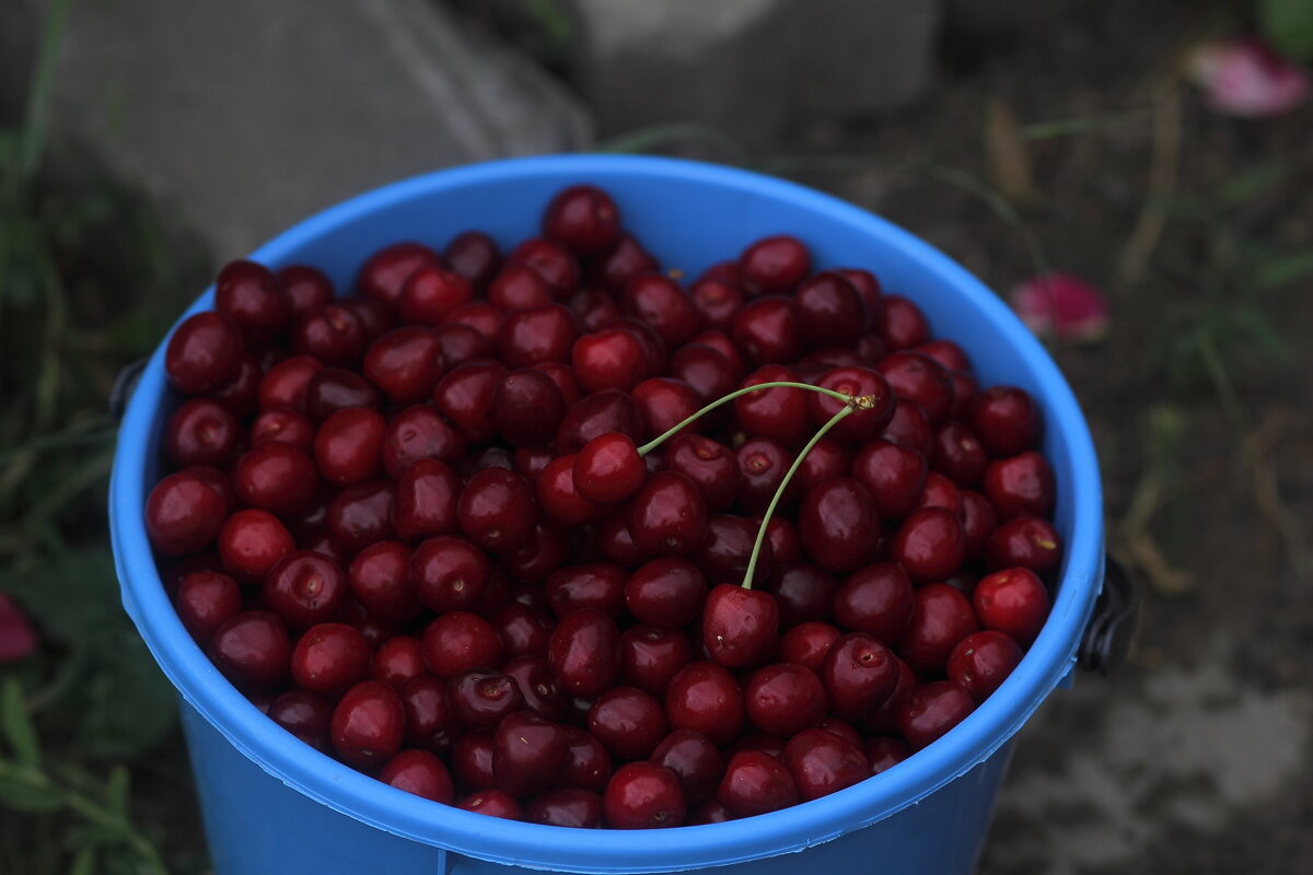 Съедено! - Юрий Гайворонскiий Съедено! - Юрий Гайворонскiий
