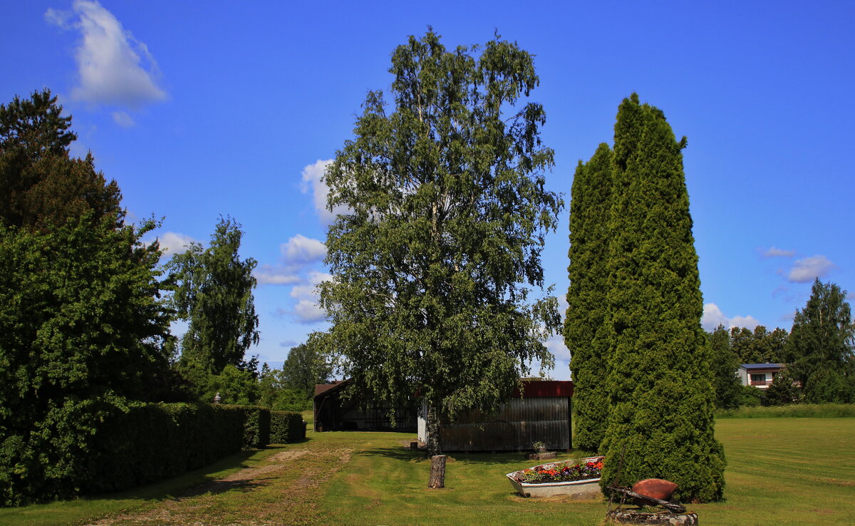 Однажды летом :) - Татьян@ Ивановна