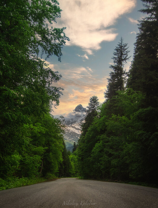 *** - Николай Колобов