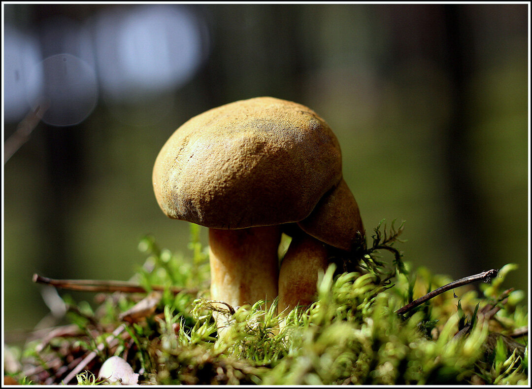 Всегда и везде вместе - Aleksandr Gal Всегда и везде вместе - Aleksandr Gal