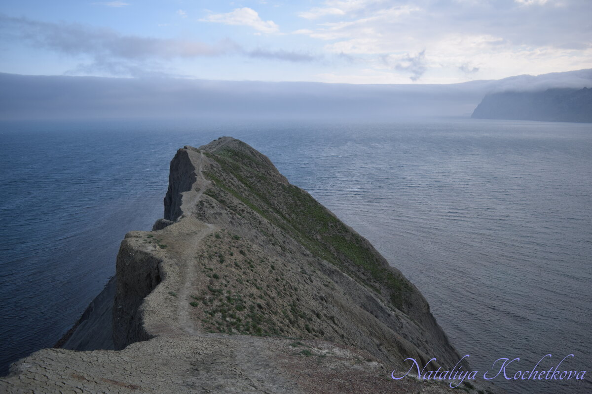 Природа Крыма - Amazing Cosmea Природа Крыма - Amazing Cosmea