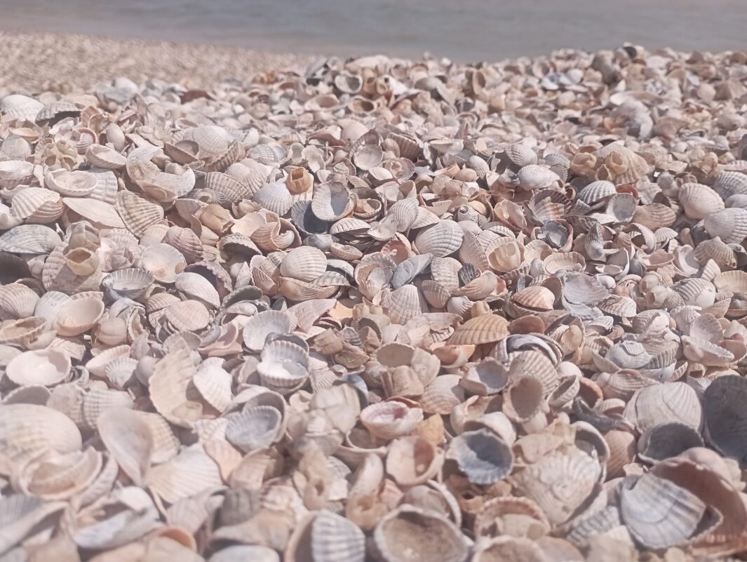 Интерьер моря - Елена Семигина Интерьер моря - Елена Семигина