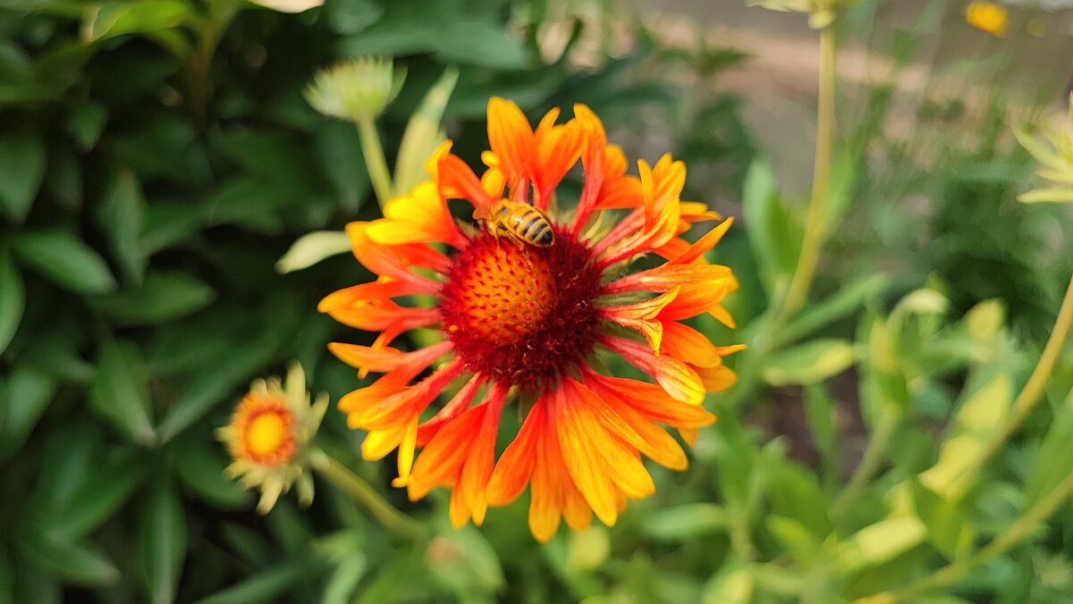 ,,, - Сергей Тимоновский ,,, - Сергей Тимоновский