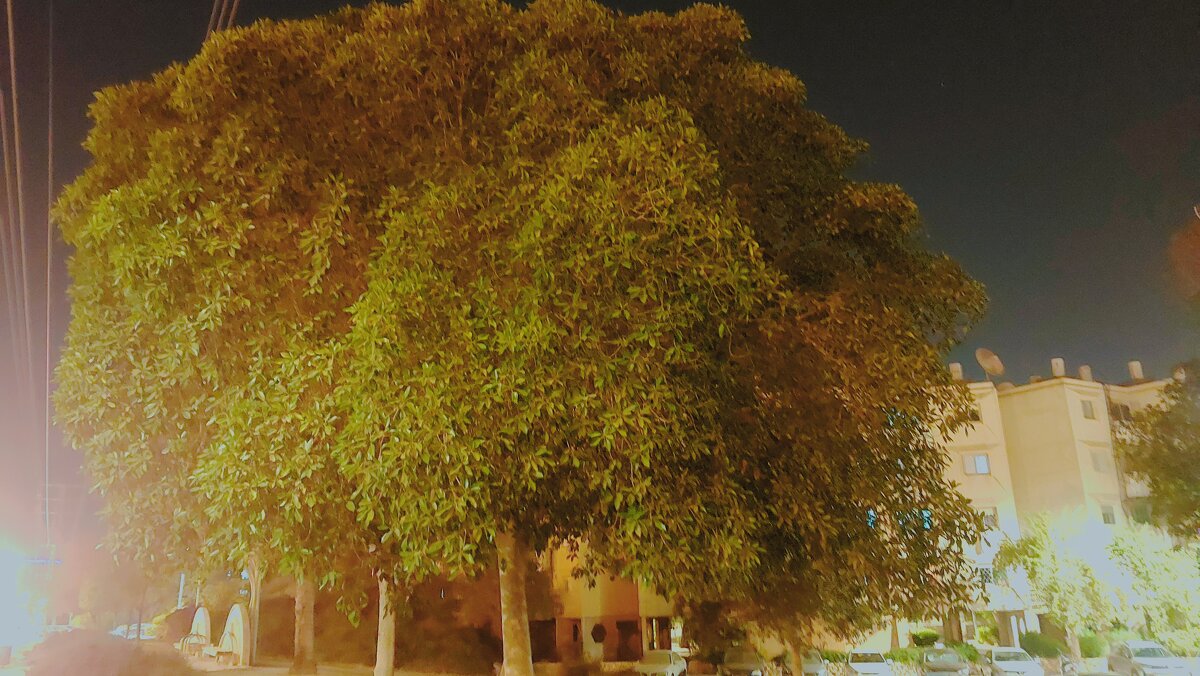 13  ОПЕН (163) - OPEN WAYS ALL