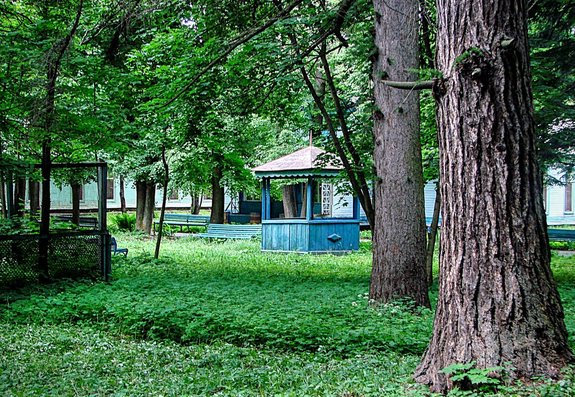 Двор санатория - Анатолий Колосов