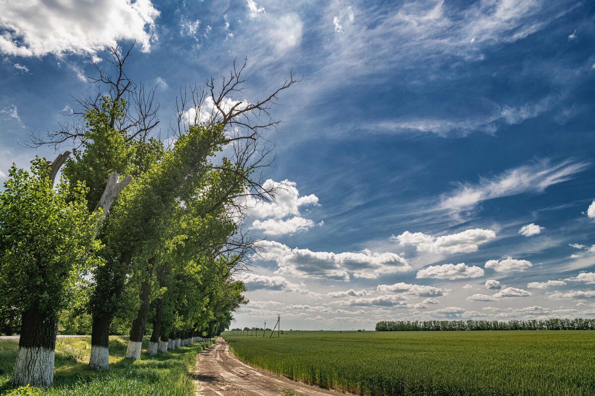 Просёлок вдоль трассы - Константин Бобинский Просёлок вдоль трассы - Константин Бобинский