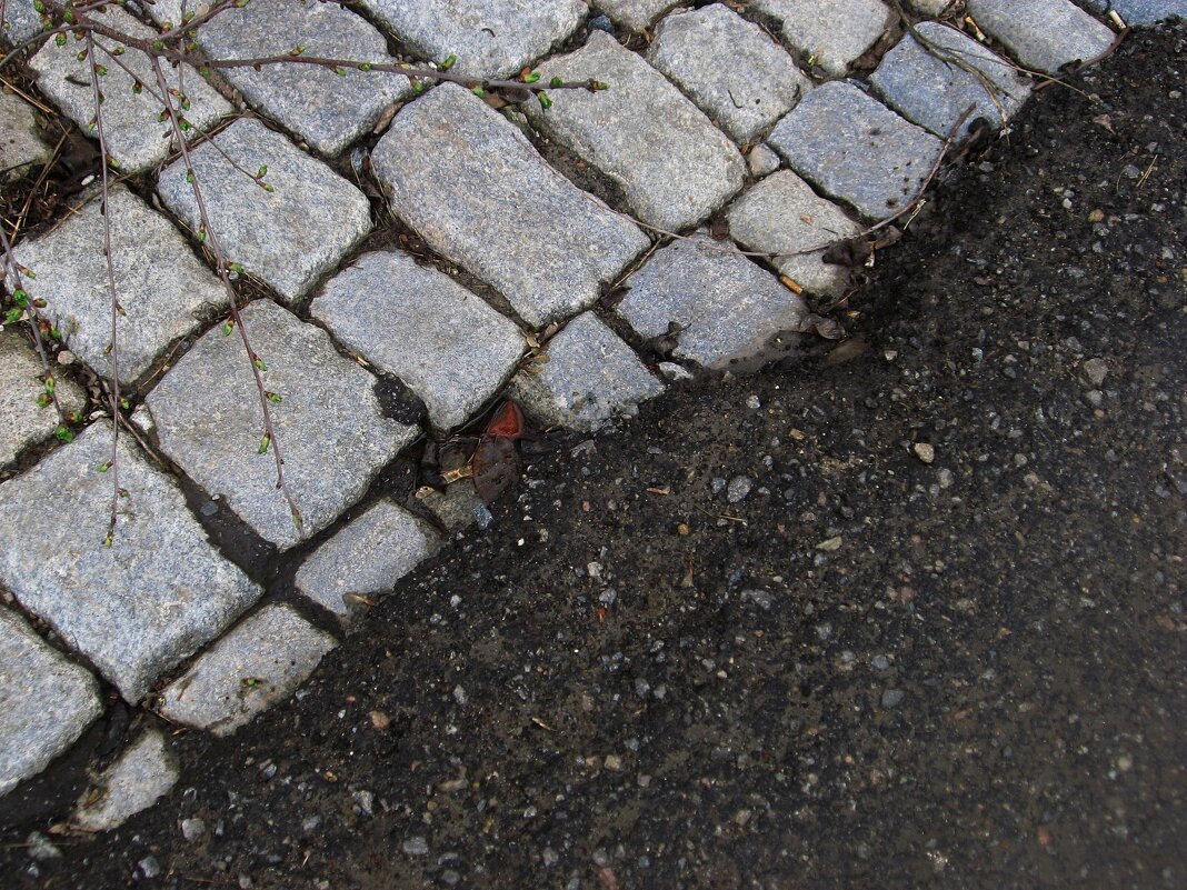 . - Александр Хоменко