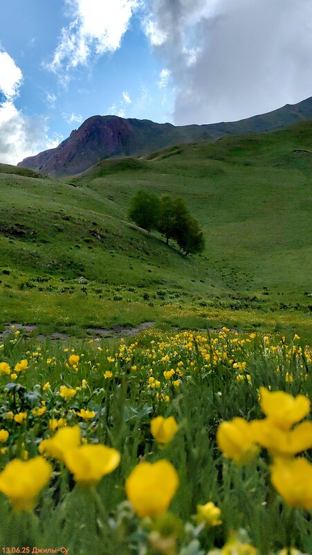 Как прекрасен этот мир! - Светлана 13.06. Как прекрасен этот мир! - Светлана 13.06.