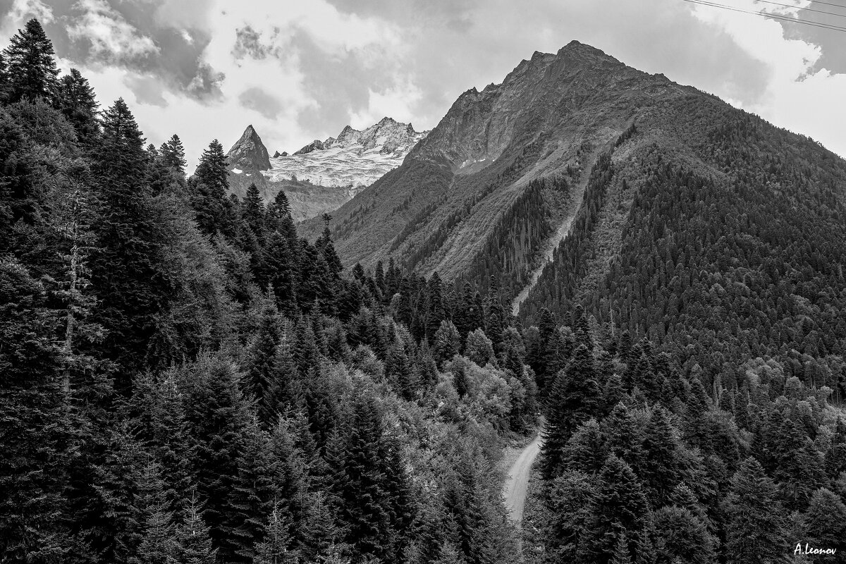 Дорога на Домбай. - Александр Леонов