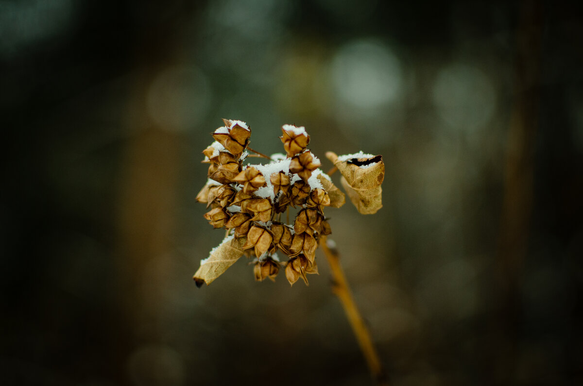 Макро - Александр Бочериков Макро - Александр Бочериков