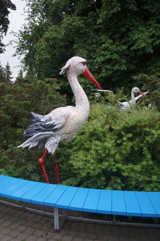 Диво остров - zavitok *