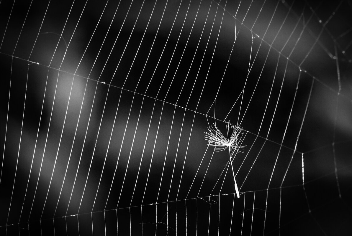 Прерванный полет. - Игорь Викторов Прерванный полет. - Игорь Викторов