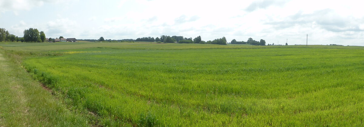 Лето- лафа, ребята - rimgis 