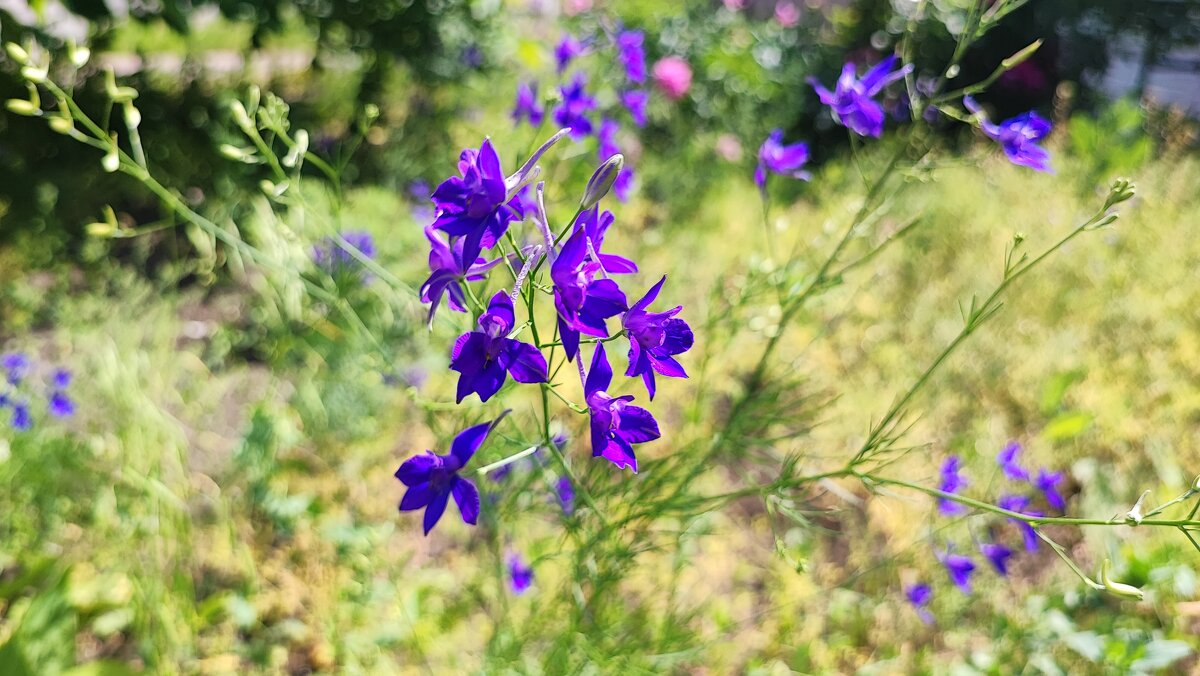 ,,, - Сергей Тимоновский