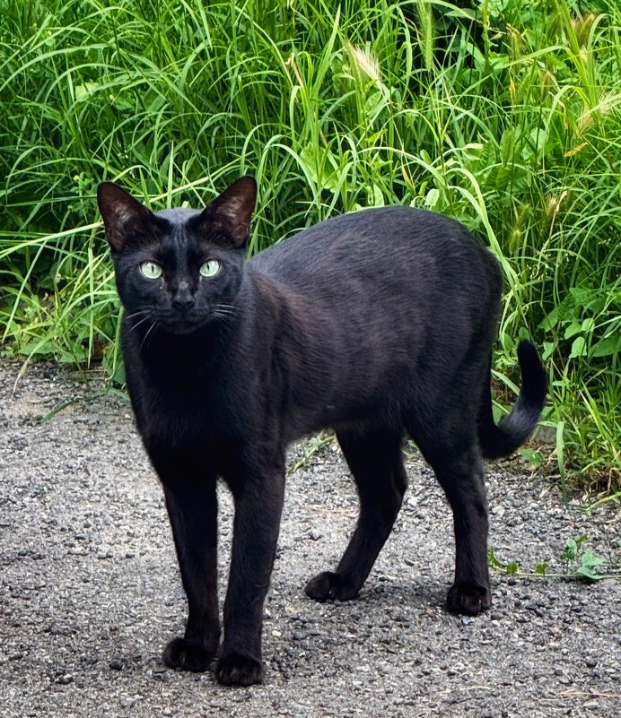 вопрос - Сергей Б.