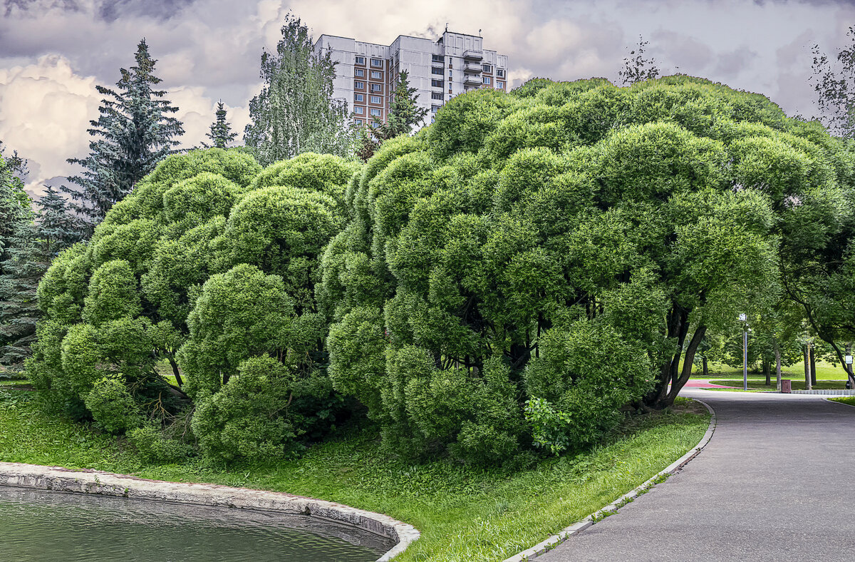 Парки Москвы - Aleksey Afonin