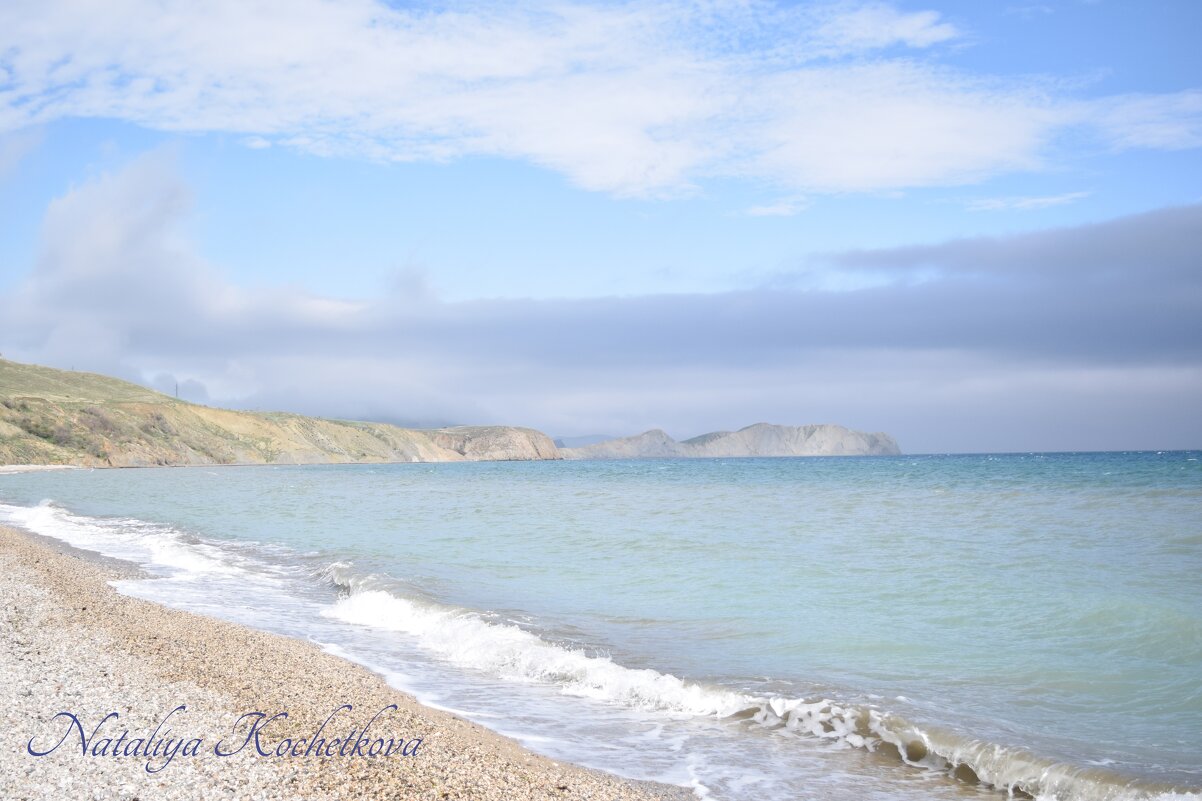 Природа Крыма - Amazing Cosmea