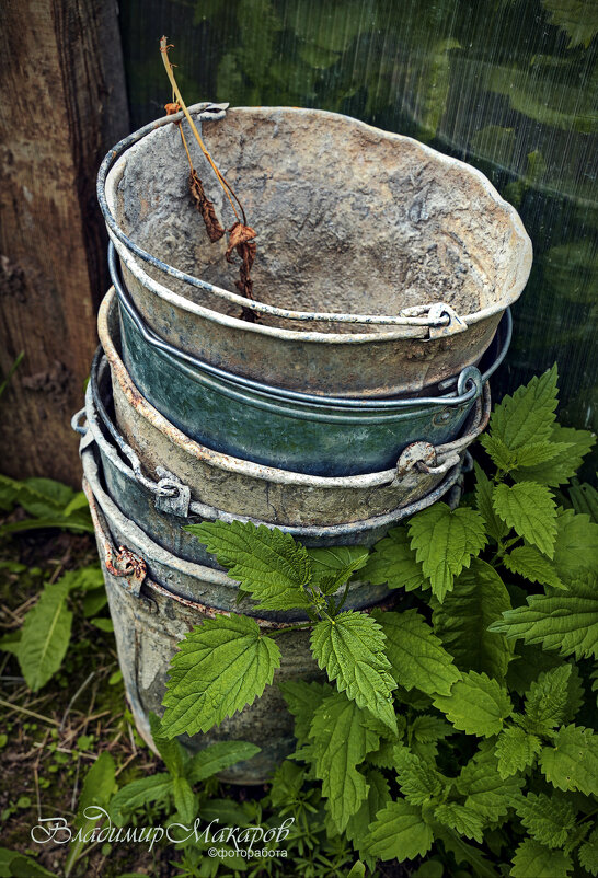 "В дальнем углу сада. Аллегория"© - Владимир Макаров