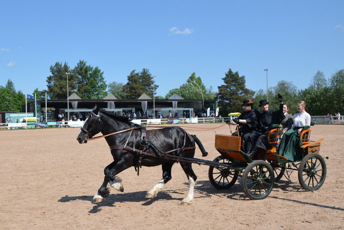Международная конная выставка "Иппосфера" 2025 - Николай 
