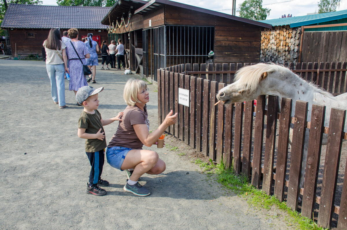 в зоопарке - Елена Кордумова