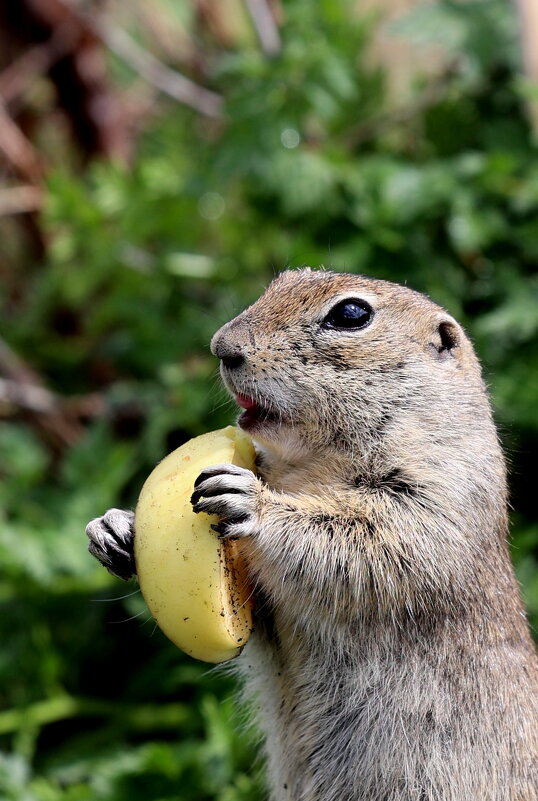 Прощальные кадры - Александр Кондаков