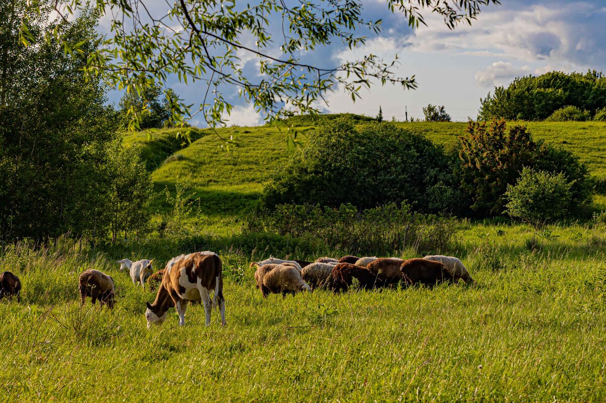 Окрестности - Юра Викулин