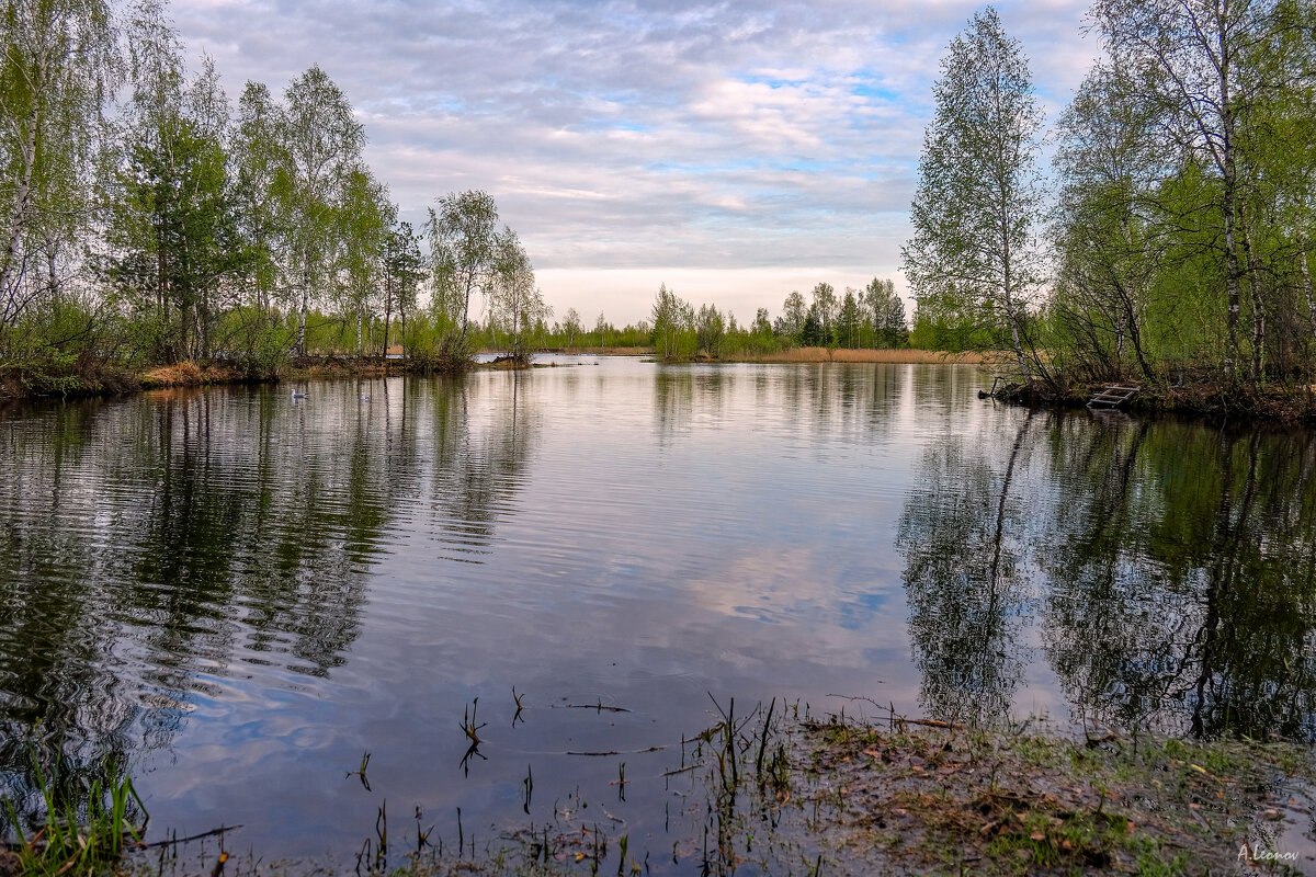Подмосковье - Александр Леонов