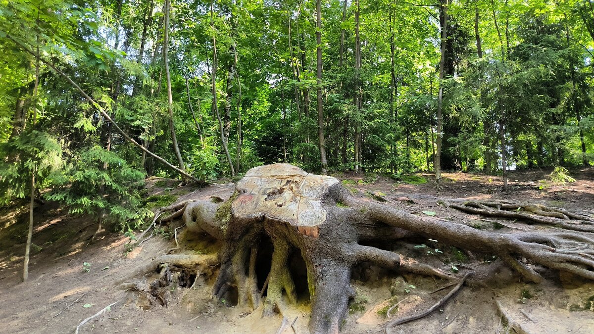 Здесь был исполин! - Ольга Здесь был исполин! - Ольга