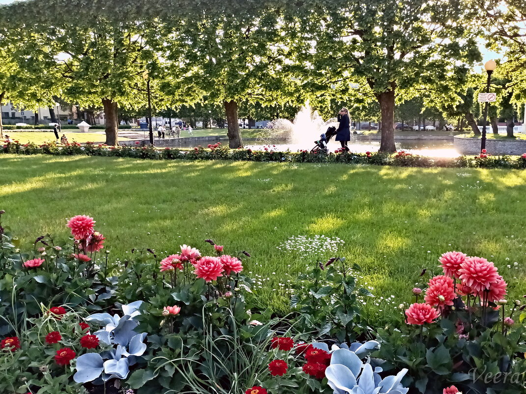 В парке Кадриорг - Veera V