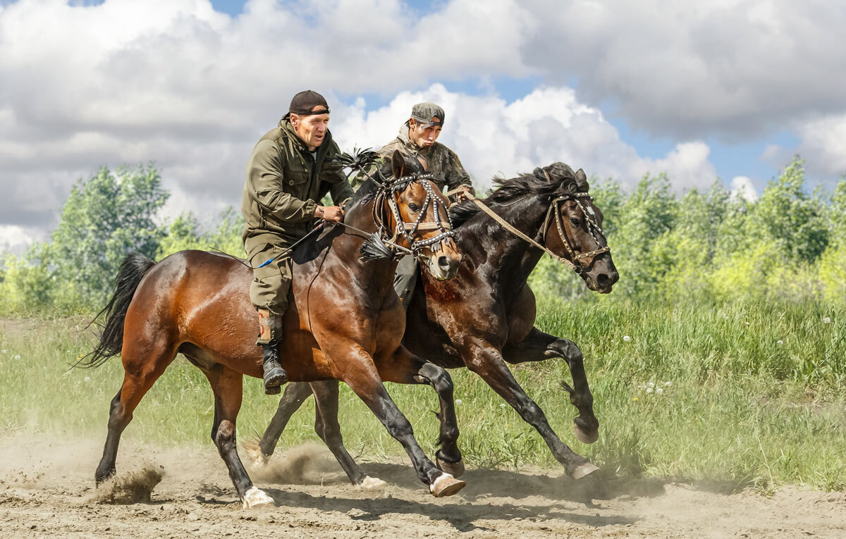 Скачки без сёдел на рабочих лошадях - SanSan 