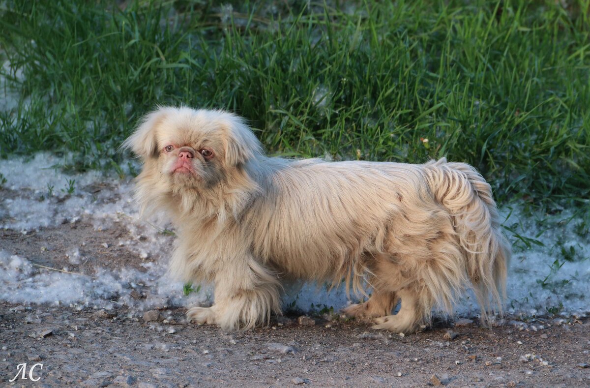 Случайные встречи - Любовь Сахарова