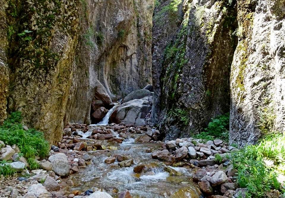 ПО ГОРАМ. - Виктор Осипчук