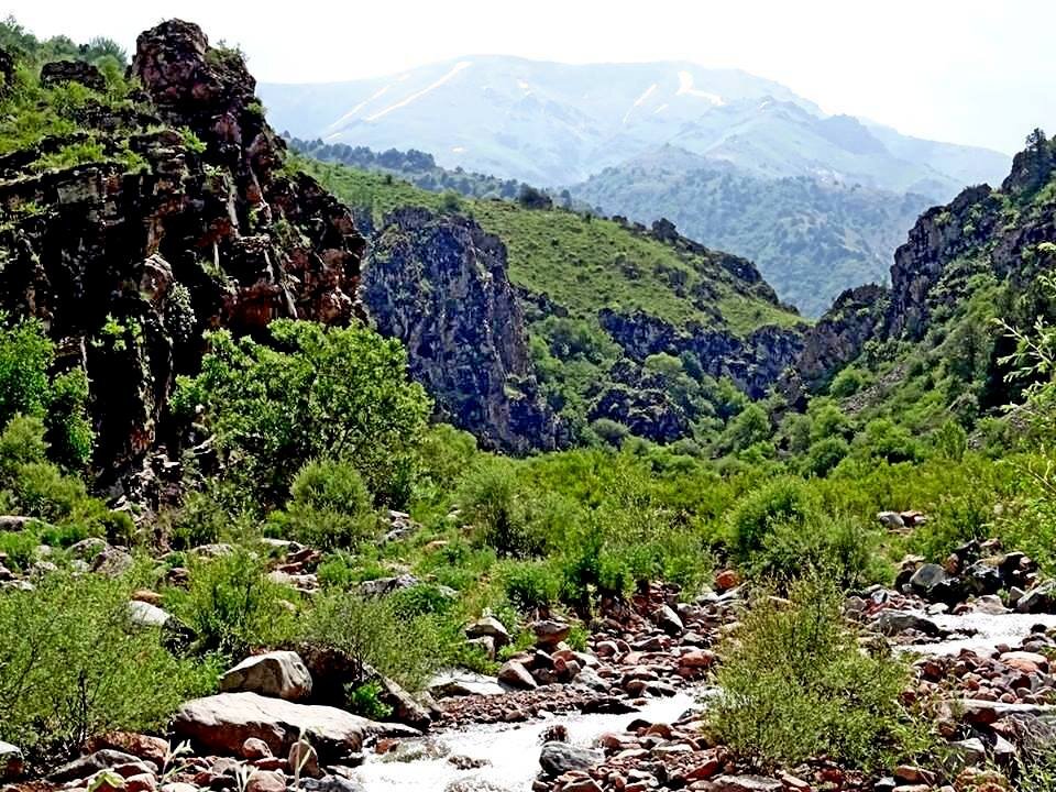 ПО ГОРАМ. - Виктор Осипчук