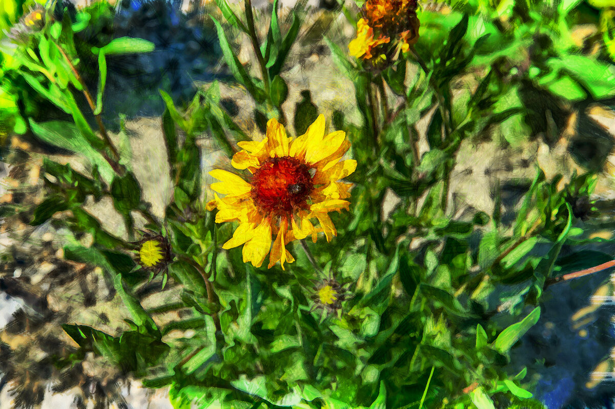 Цветок - Анатолий Чикчирный