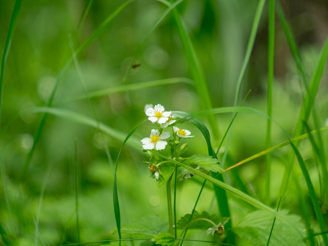 ___ - Yuriy V ___ - Yuriy V