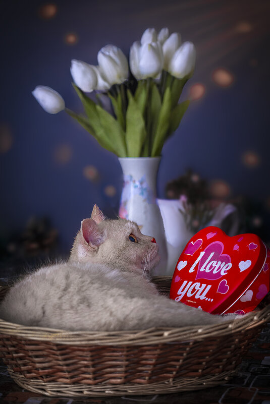 I love you... - Shmual & Vika Retro I love you... - Shmual & Vika Retro