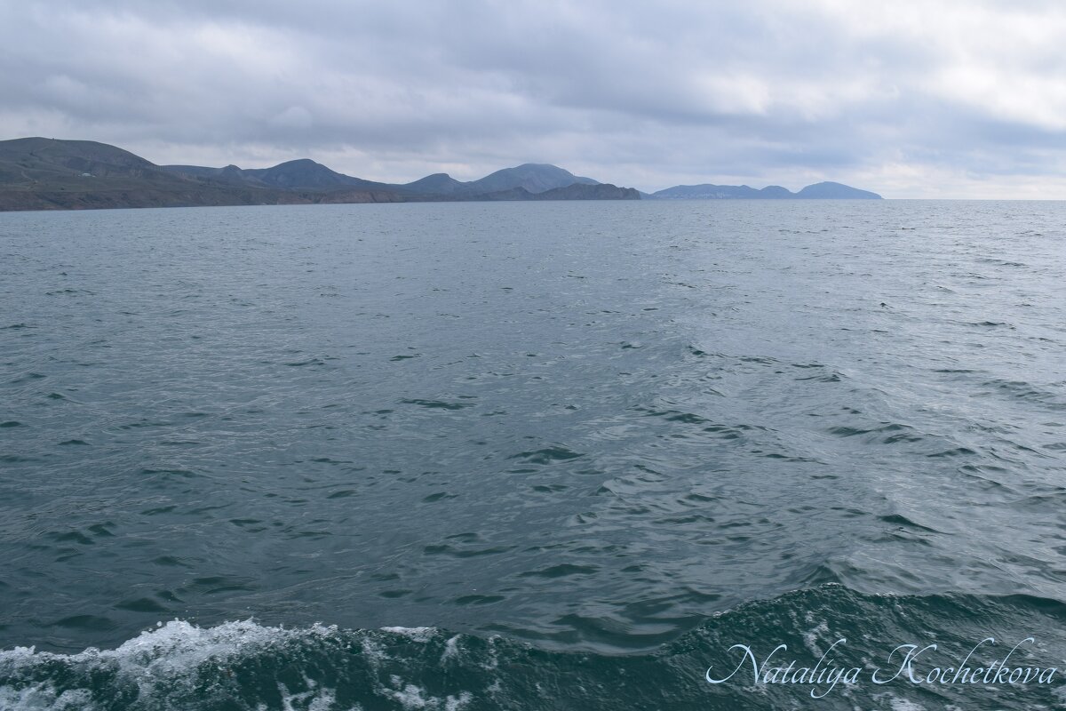 Природа Крыма - Amazing Cosmea