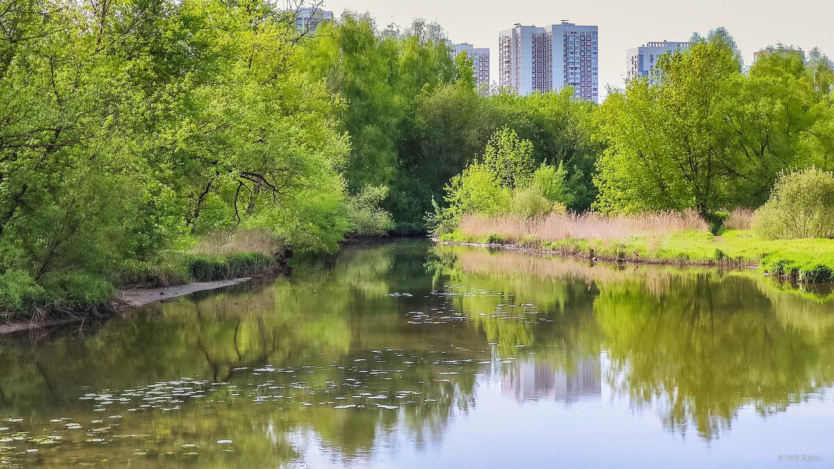 По дороге ... - Kirill 