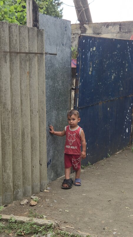 Я маму жду - Надежда Шубина